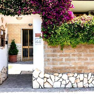 Residence Speedy Lovely Suites - 9 Appartamenti Fino A 52 Ospiti - Fiumicino Airport